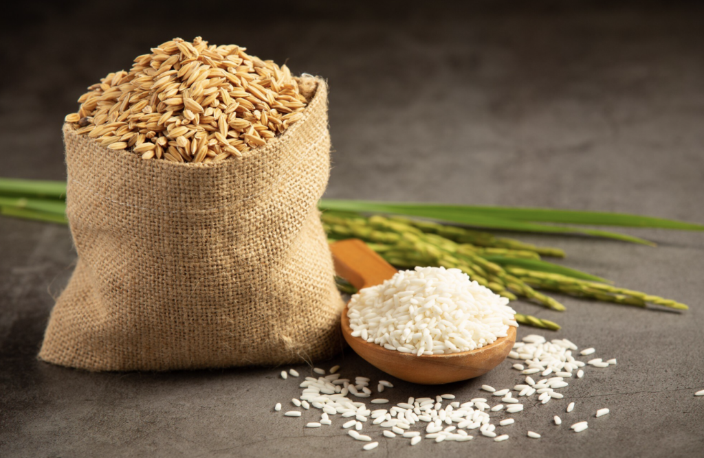 Screenshot 2026-02-03 at 10.41.52 PM